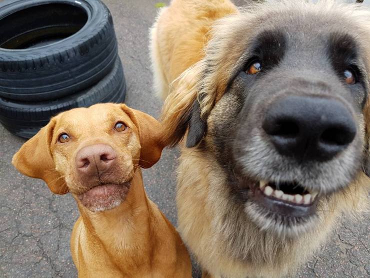 20258469_1366980900064420_6350737727749895246_n