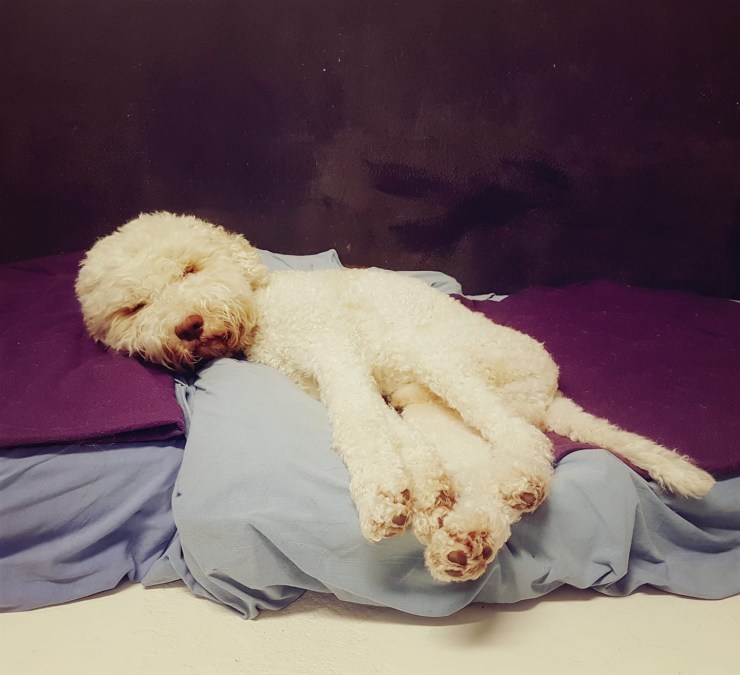 794E5D00-4BD4-4559-8BE4-C5CC3714F3FC