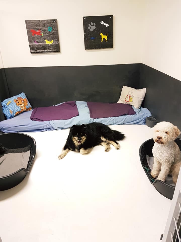 C0084799-6691-48A2-9067-4B929199DA11